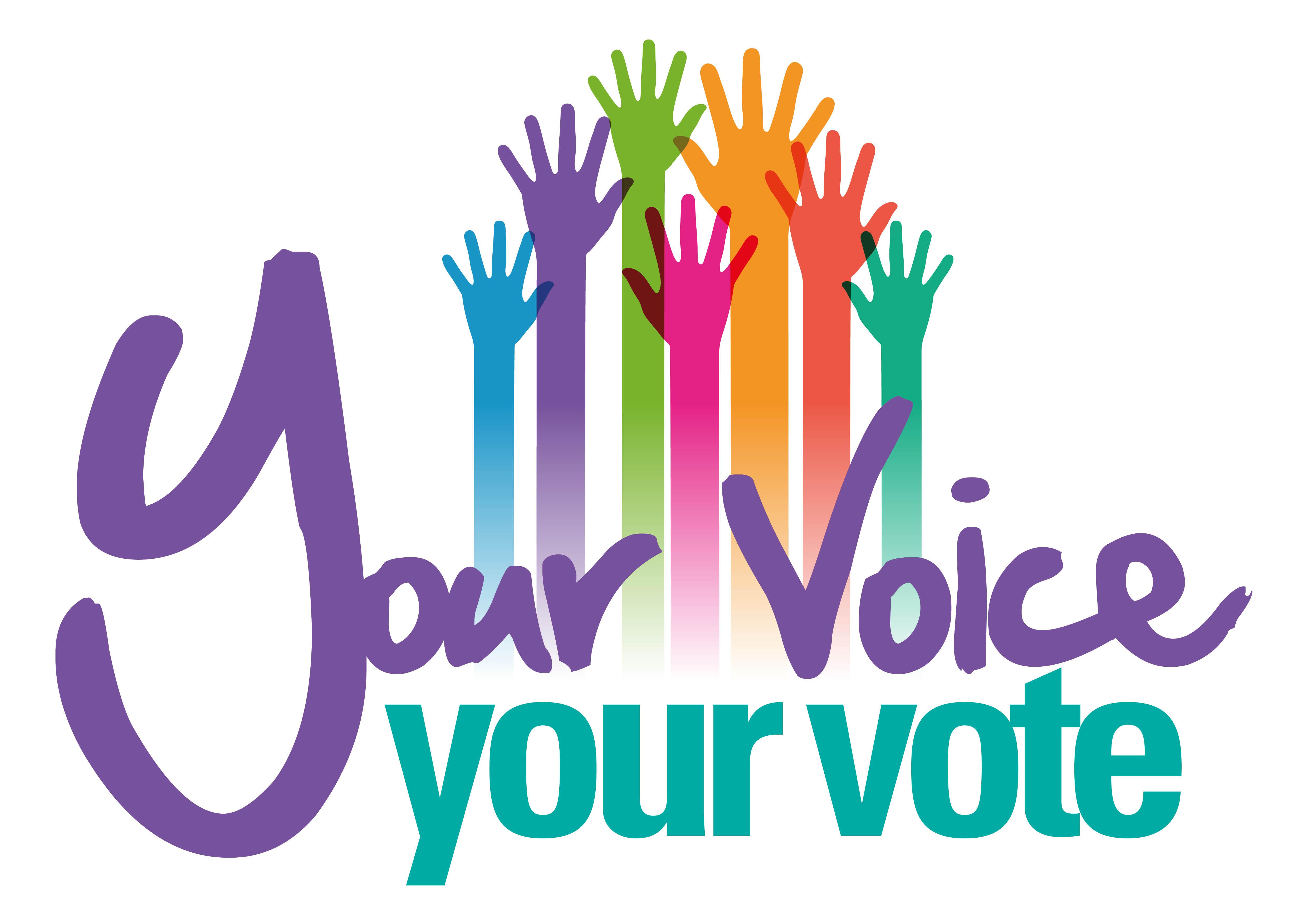 your voice your vote logo (1)